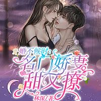 婚不候时：名门娇妻甜又撩|甜宠爽文