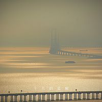 鲸鱼深夜读愈馆