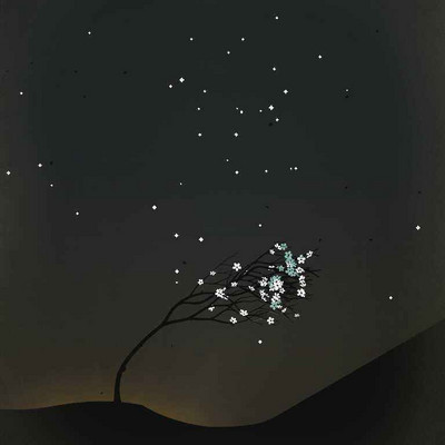 所念皆星河