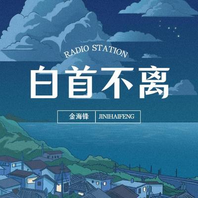 金海锋车载音乐伤感歌曲专辑《白首不离》
