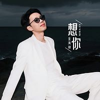 金海锋车载音乐伤感歌曲专辑《想你》