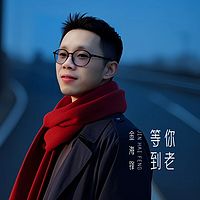 金海锋歌曲车载音乐专辑《等你到老》