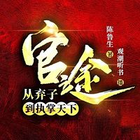 官途：从弃子到执掌天下|权谋|官场