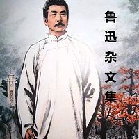 鲁迅杂文集