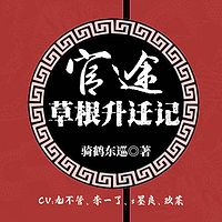 官途：草根升迁记丨官场小说丨多人有声剧