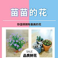 苗苗的花