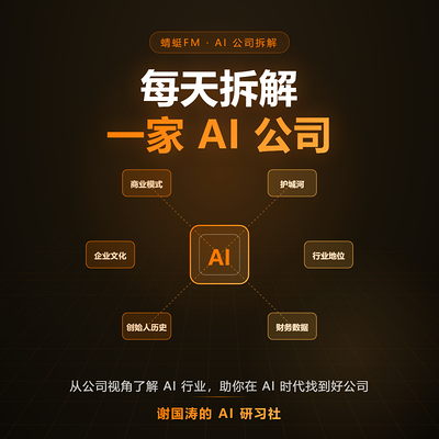 每天拆解一家AI公司