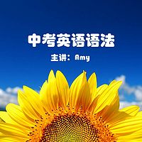 中考英语语法