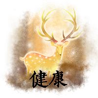 Om先生|健康专辑