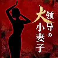 大领导的小妻子丨女人官场丨都市情感丨职场