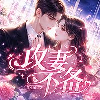 攻妻不备