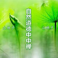 《山林子谈自然道德慧智中中禅》诗中妙