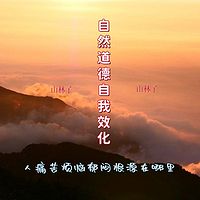 《山林子谈自然道德慧智自我效化》诗中妙