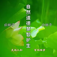 《山林子谈自然慧智护生》师坤