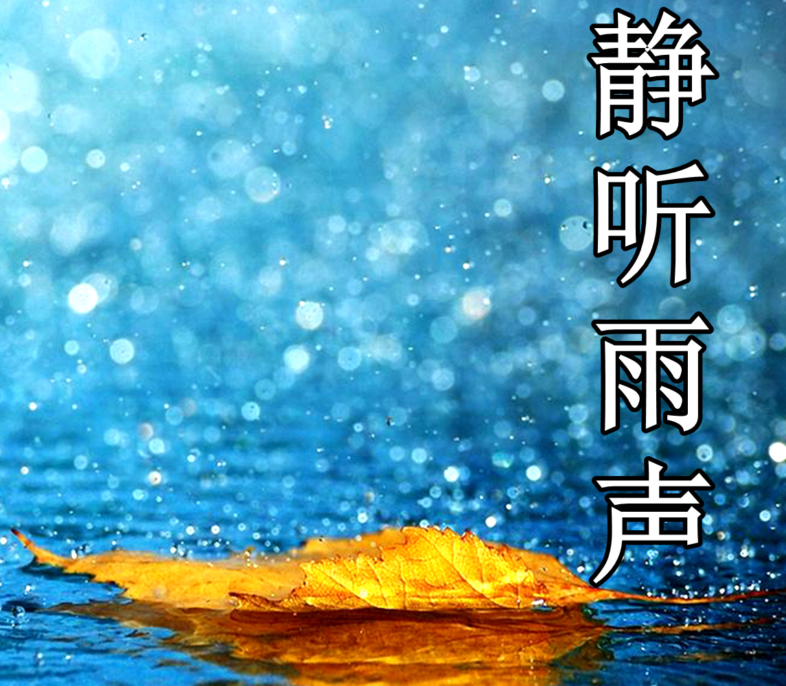 大自然的雨声|助眠|减压