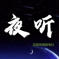 夜听流星雨·夜听治愈