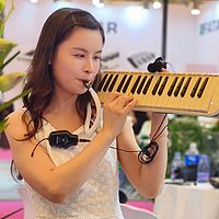艾今口风琴经典音乐演奏专辑