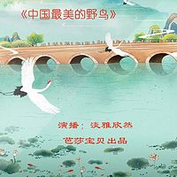 《中国最美的野鸟》| 淡雅欣然演播