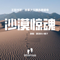 王冠书系·故事大王精选悬疑卷：沙漠惊魂