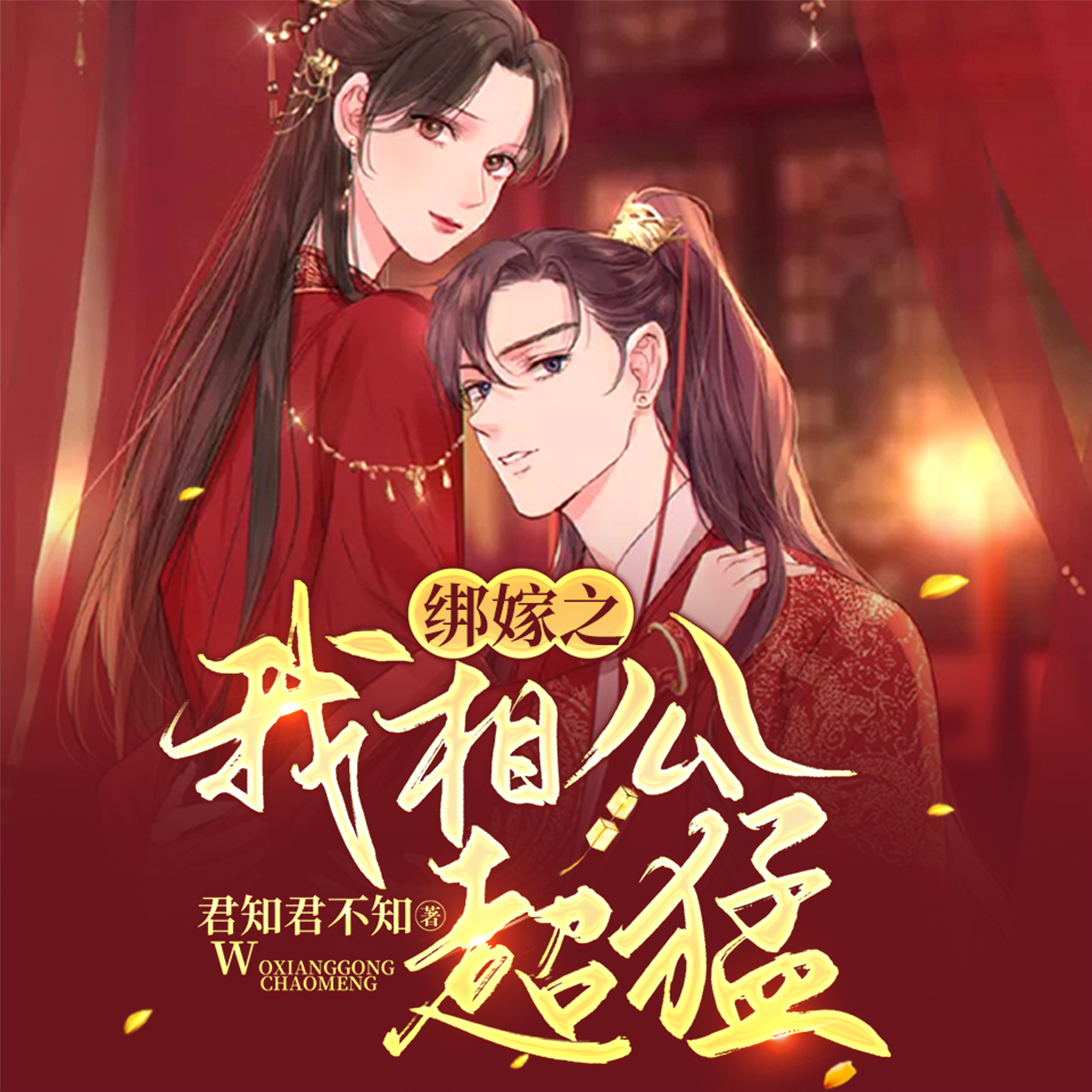 绑嫁之我相公超猛