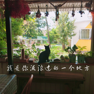 我是你流浪过的一个地方