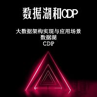 数据湖和CDP