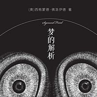 梦的解析