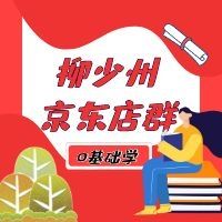 柳少州带你玩转京东店群