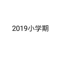 2019小学期