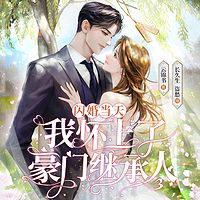 闪婚当天，我怀上了豪门继承人有声小说