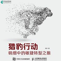 猎豹行动：硝烟中的敏捷转型之旅