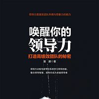 唤醒你的领导力:打造高绩效团队的秘密