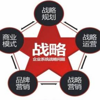 王紫杰：企业战略体系设计