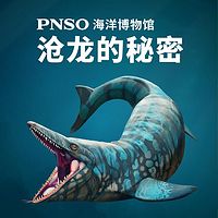 PNSO海洋博物馆:沧龙的秘密