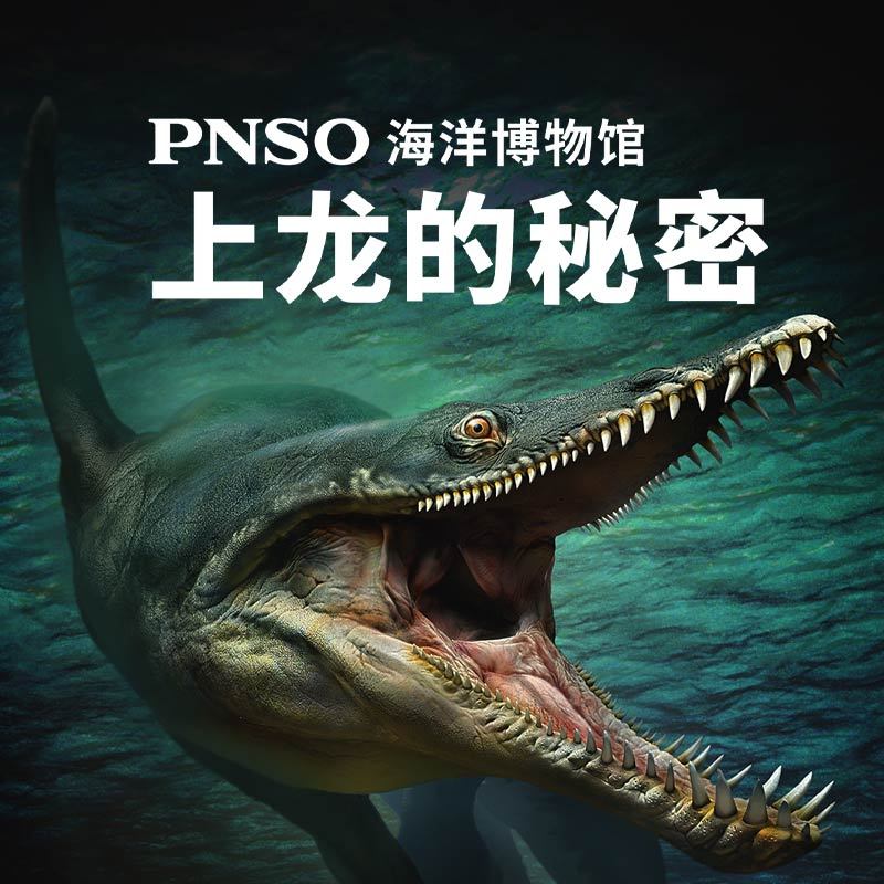 PNSO海洋博物馆:上龙的秘密