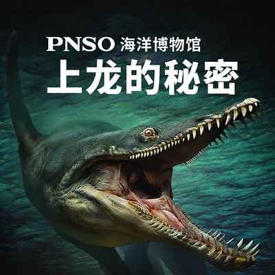 PNSO海洋博物馆:上龙的秘密