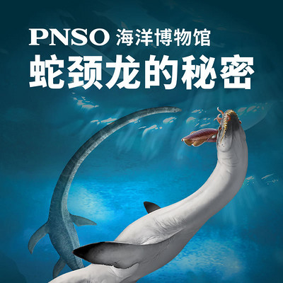 PNSO海洋博物馆:蛇颈龙的秘密