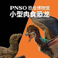 PNSO恐龙博物馆 小型肉食恐龙