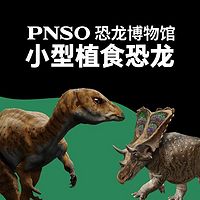 PNSO恐龙博物馆 小型植食恐龙