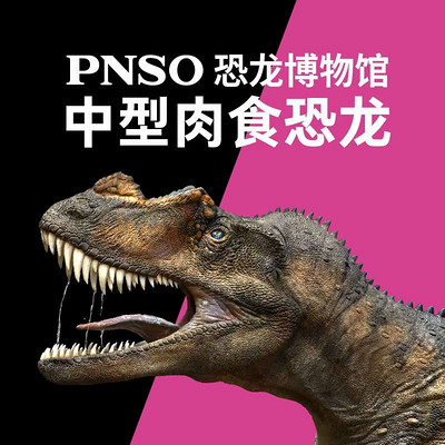 PNSO恐龙博物馆：中型肉食恐龙