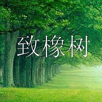 《致橡树》