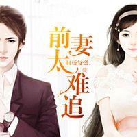 旧婚复燃,前妻太难追