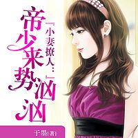 小妻撩人：帝少来势汹汹