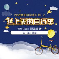 《安武林的阅读成长书》之《飞上天的自行车》