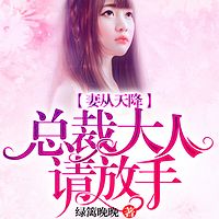 妻从天降：总裁大人请放手