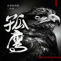 孤鹰