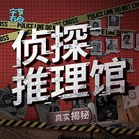 侦探推理馆—大案纪实