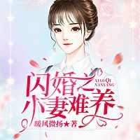 闪婚之小妻难养