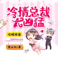 攻婚掠爱：冷情总裁太凶猛