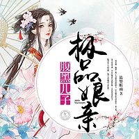 腹黑儿子极品娘亲